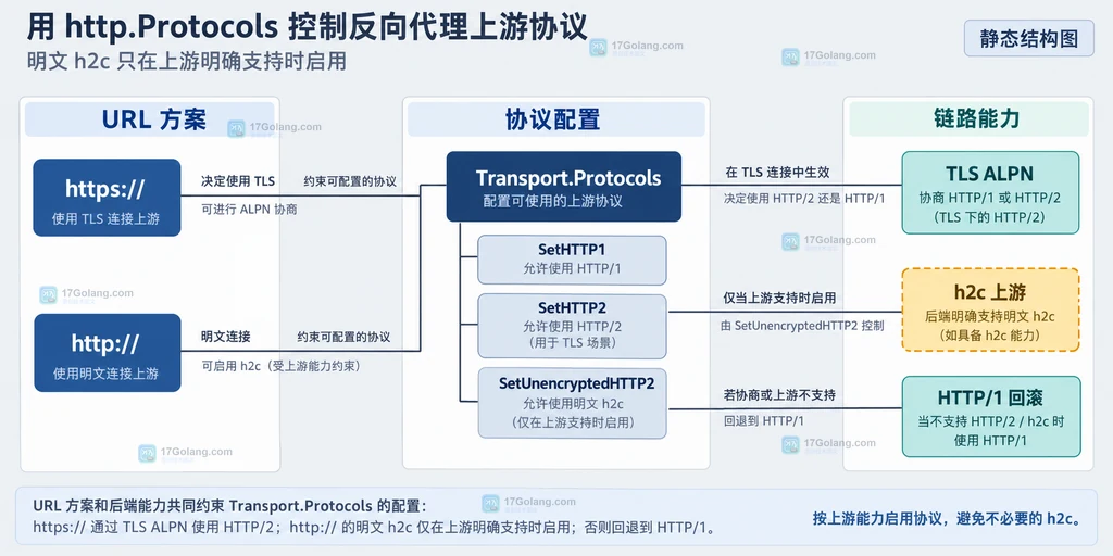 Go http.Protocols 在入口 Server 与反向代理 Transport 之间的双向协议边界说明图