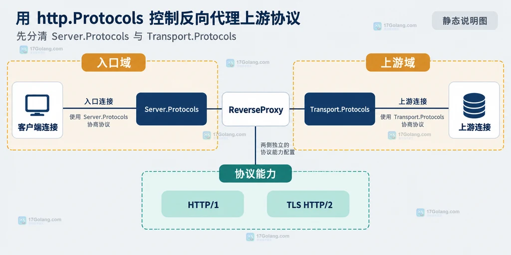 Go Transport.Protocols 对 HTTPS 与 h2c 上游协议选择的结构关系说明图