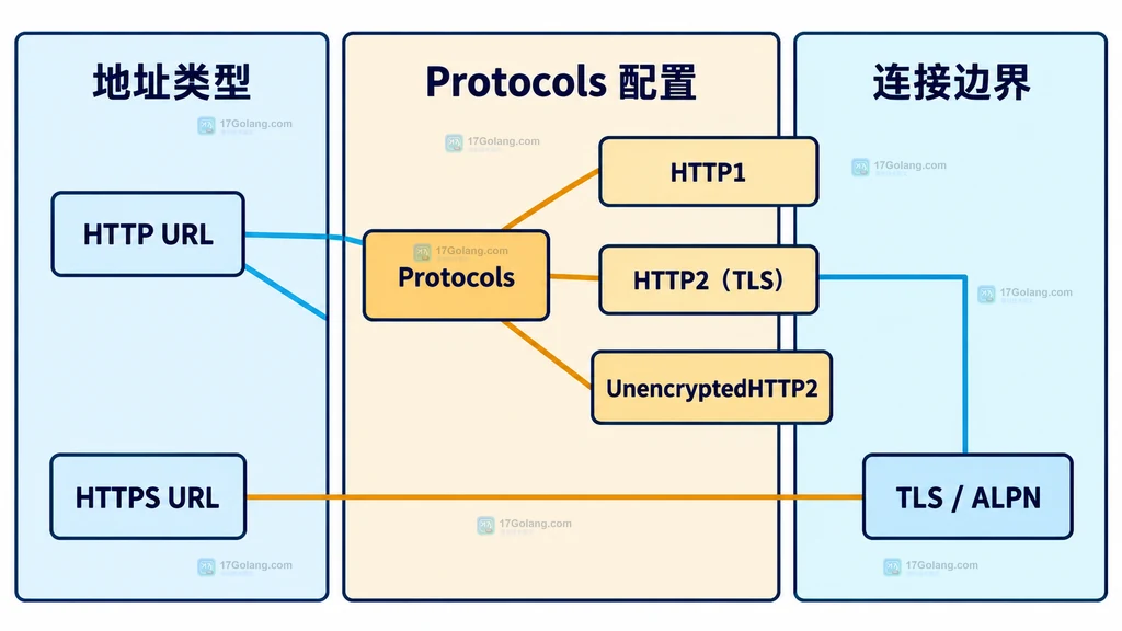 Go Protocols 中 HTTP1、TLS HTTP2 和 UnencryptedHTTP2 与 URL 类型的静态关系图