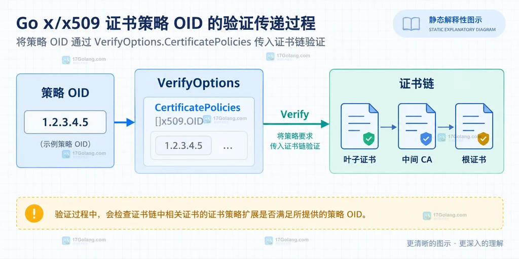 Go x509 策略 OID 与 VerifyOptions 字段的静态关系说明图