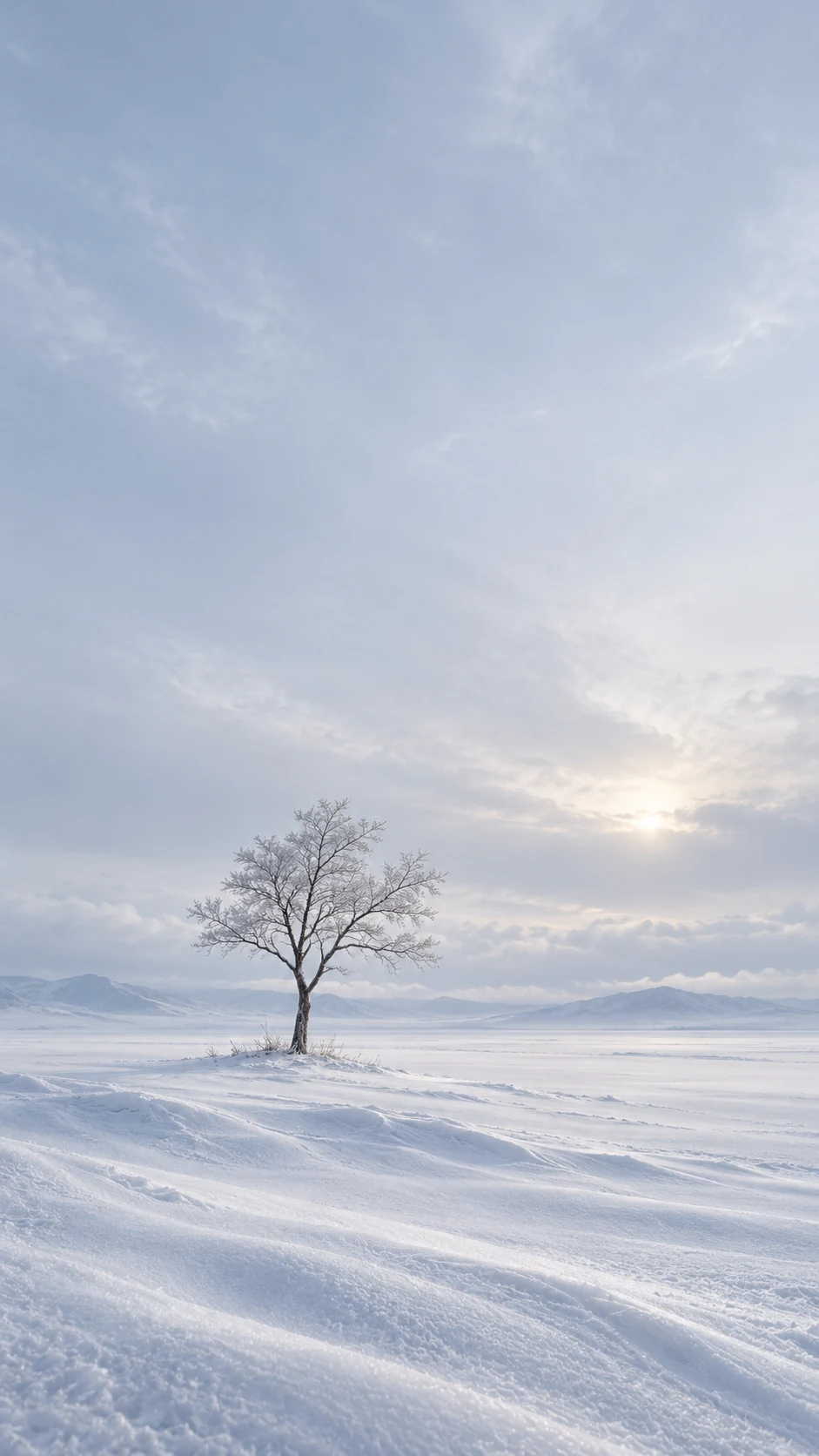 银白雪原中略偏左的极简孤树手机锁屏壁纸说明图