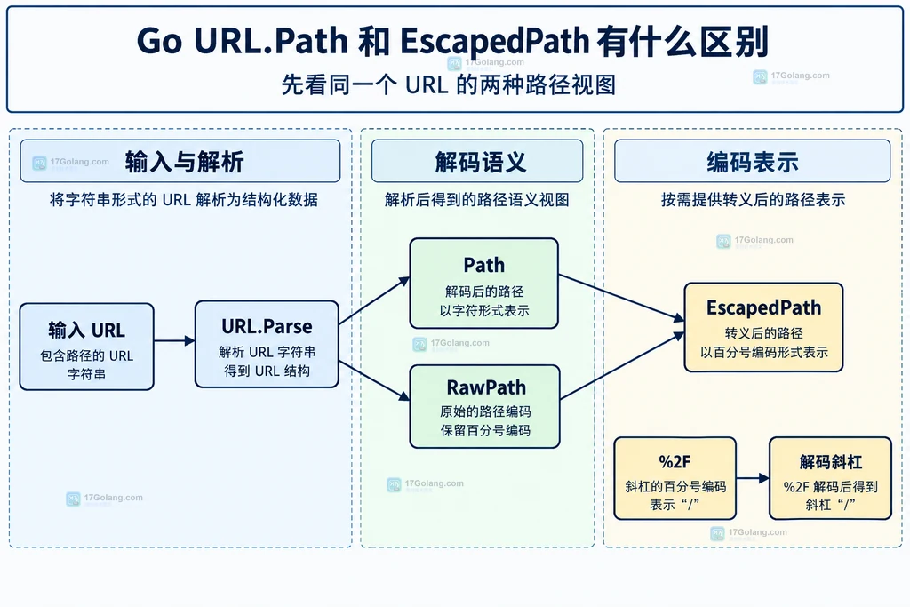 Go net/url 中 Path 解码视图与 EscapedPath 转义视图的静态关系说明图