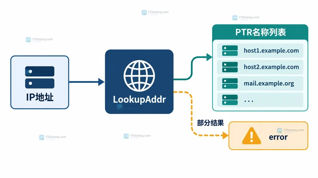 Go LookupAddr 将一个 IP 连接到多个 PTR 主机名并保留部分错误的结构说明图