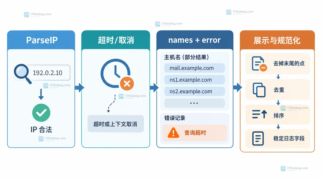 Go 反向 DNS 结果经过地址检查、超时控制、错误分类和名称去重整理的结构说明图