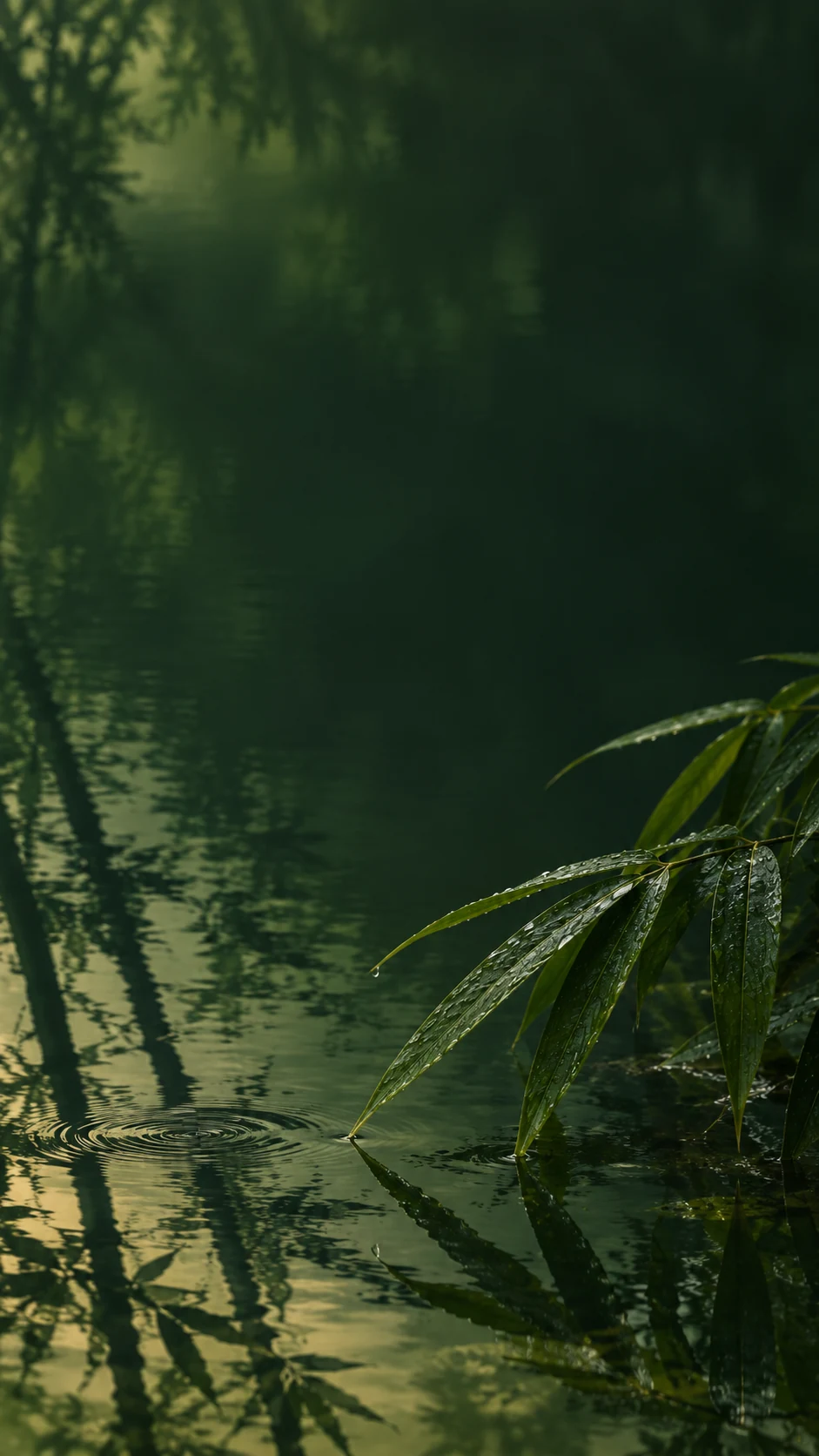 右下湿润竹叶与左下水面倒影的原创手机壁纸