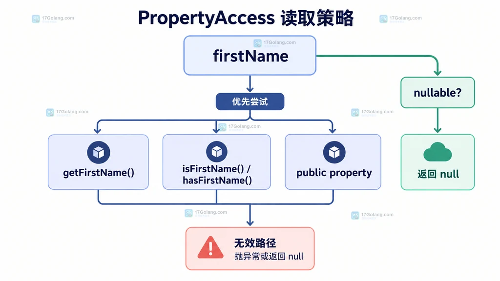 PropertyAccess 读取 getter、isser hasser 和 public property 的策略分支说明图