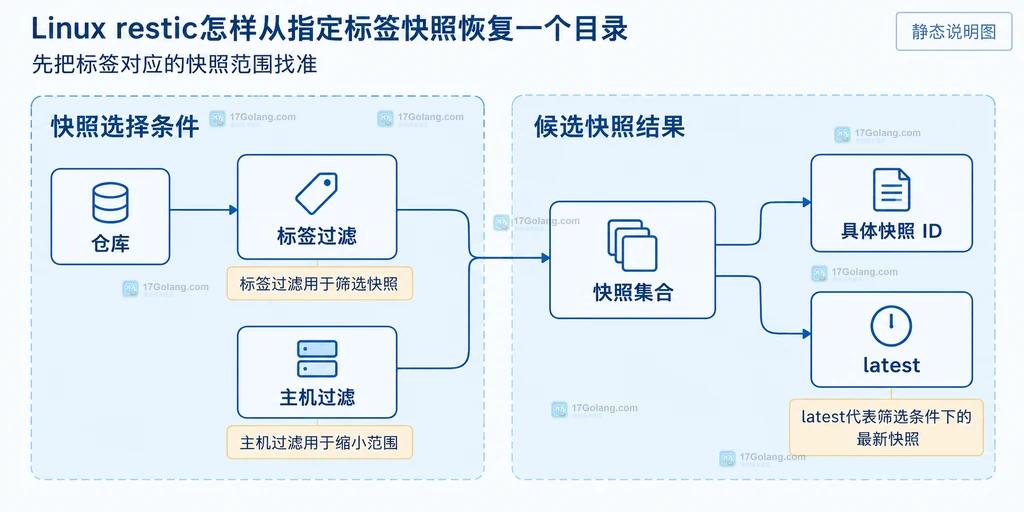 restic快照树通过目录子树和include范围写入恢复目标并受overwrite和delete边界影响的静态结构说明图