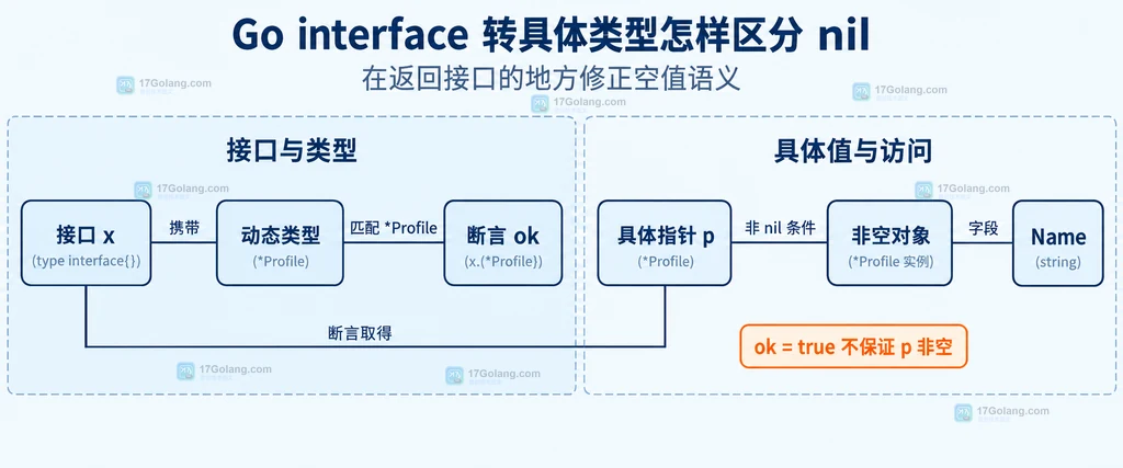 类型断言结果与指针对象的静态判断关系