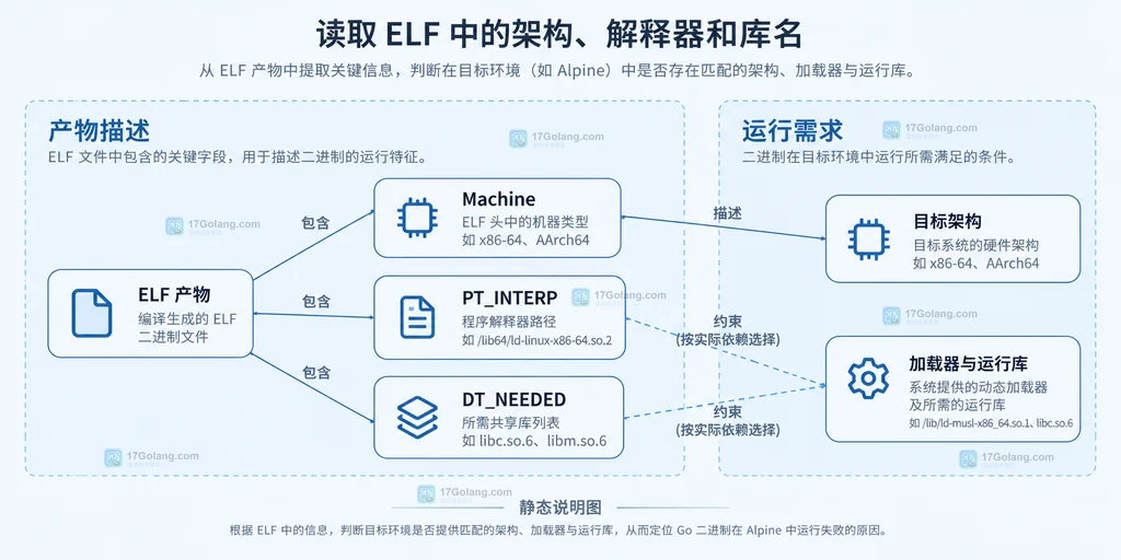 ELF产物中的Machine、PT_INTERP和DT_NEEDED分别对应目标架构、加载器与运行库