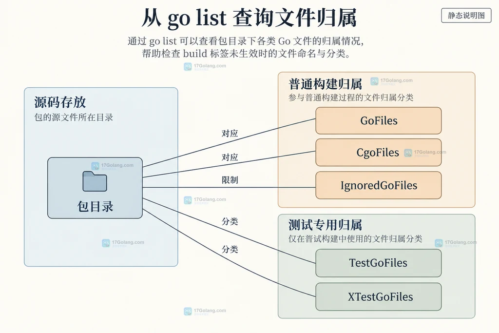 包目录中的普通文件、cgo文件和测试文件分别对应各自的go list字段