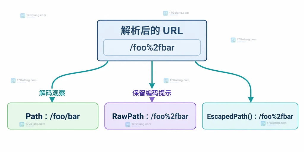 URL.Path、RawPath 与 EscapedPath 观察差异的静态关系图