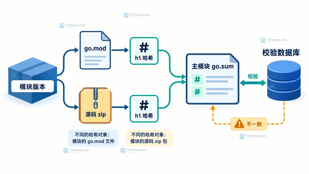 同一 Go 模块版本在 GOPROXY、direct 和 checksum database 之间的对比路径说明图