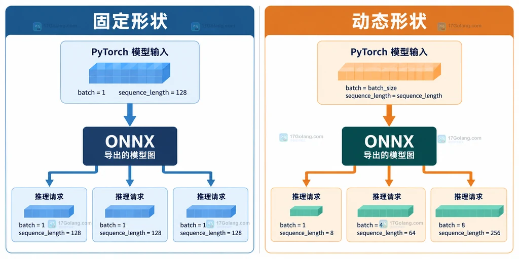 ONNX 固定形状与动态形状的输入维度对照结构图