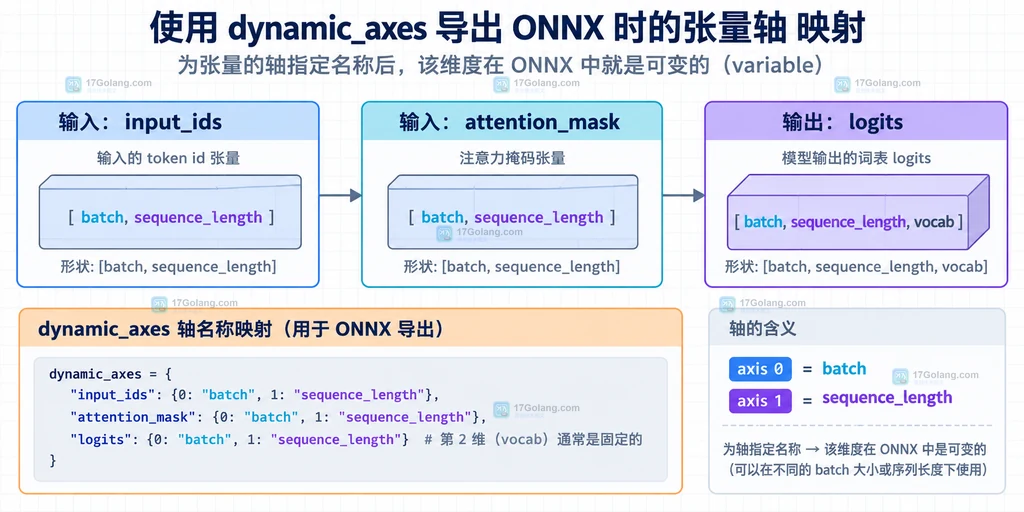 ONNX dynamic_axes 在 input_ids、attention_mask 和 logits 之间对齐维度的结构图