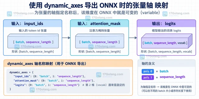 ONNX 导出怎样声明动态 batch 和序列长度