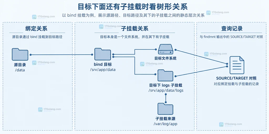 findmnt 固定输出 TARGET、SOURCE、FSTYPE 和 OPTIONS 四个字段的静态关系说明图