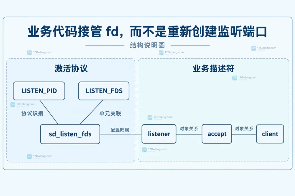 激活协议、监听fd以及业务连接fd的静态关系