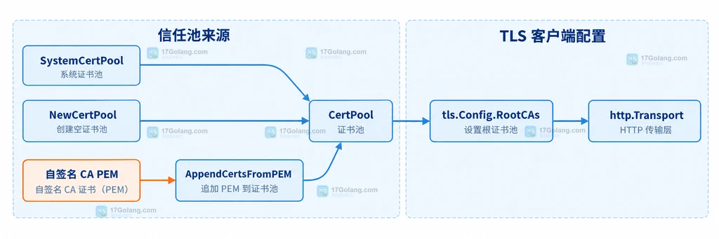 Go tls.Config RootCAs 将系统根池与自签名 CA 合并的静态结构说明图