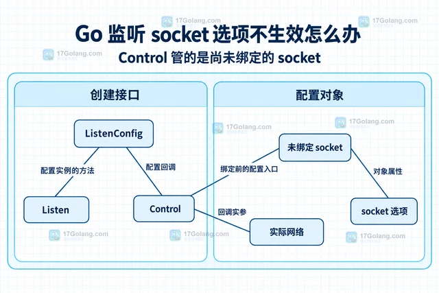 Go 监听 socket 选项不生效怎么办