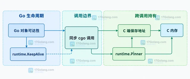 Go cgo 指针在调用后过早回收怎么办