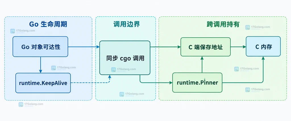Go 对象可达性、cgo 同步调用和 C 端保存边界的静态结构图