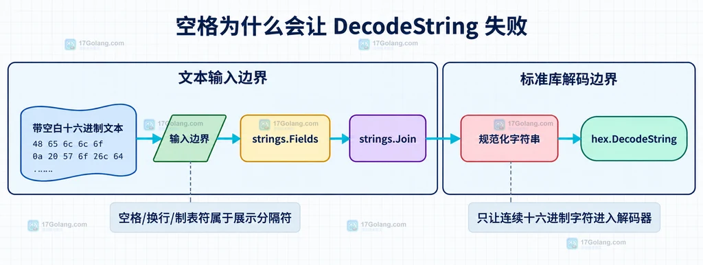 十六进制文本从带空白输入到规范化字符串再到 DecodeString 的静态边界关系图