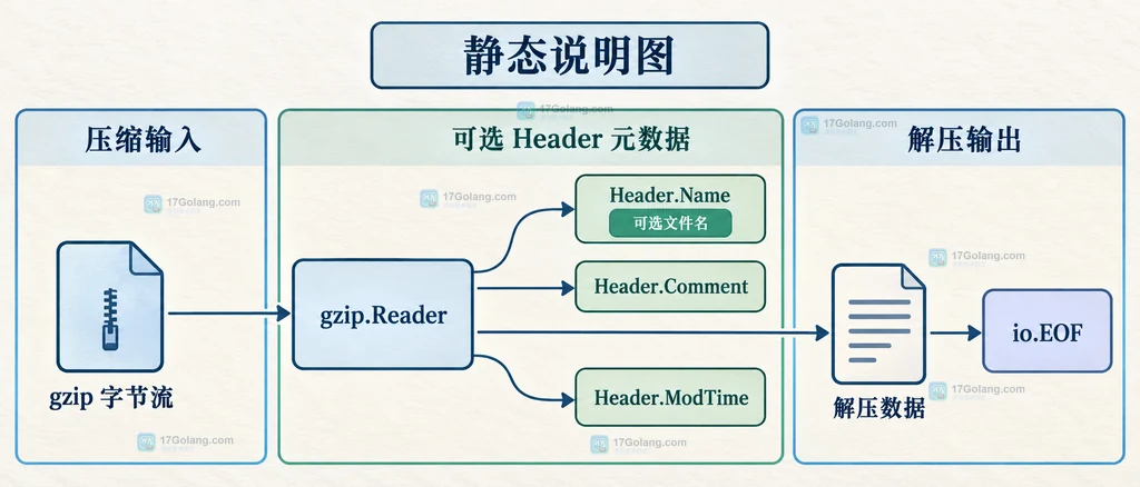 Go gzip 多成员读取中 Multistream、首个 Header、Header.Name 与 Reset 的静态边界