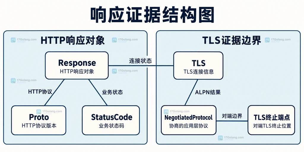 响应对象HTTP协议TLS状态与应用协议协商的静态关系