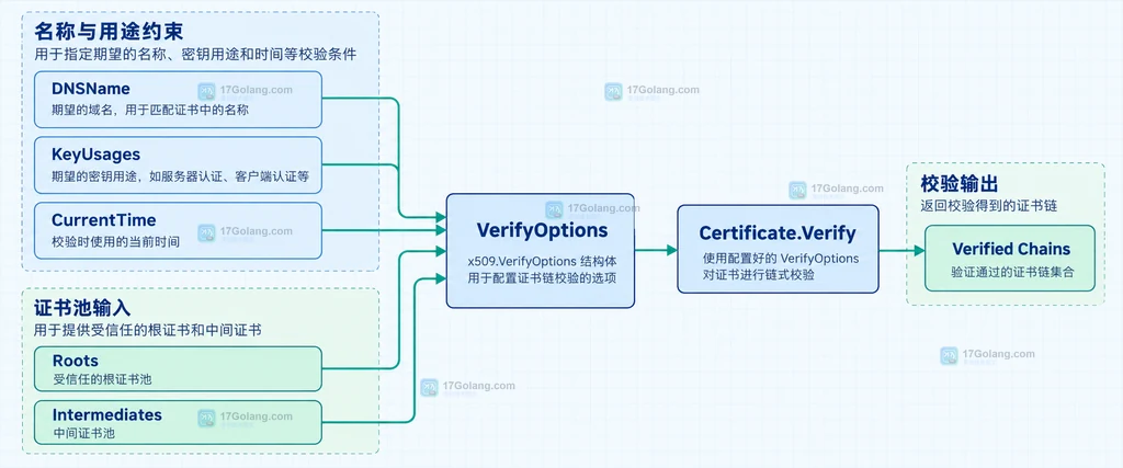 Go x509 VerifyOptions 的 DNS、用途、时间和证书池输入关系说明图