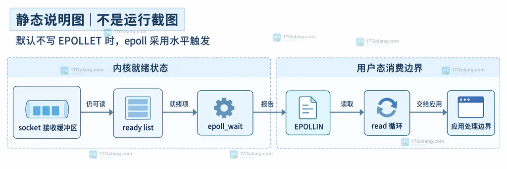 Linux epoll LT 水平触发中 socket 接收缓冲区、ready list、epoll_wait 与 EPOLLIN 的关系说明图