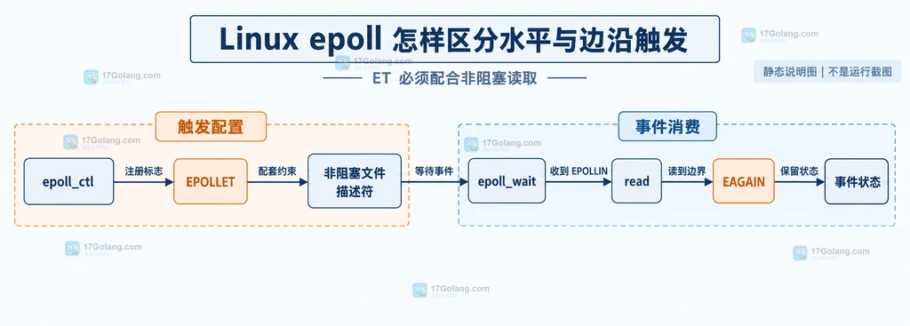 Linux epoll ET 中 epoll_ctl、EPOLLET、非阻塞文件描述符、read 与 EAGAIN 的静态关系图