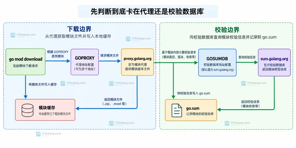Go 模块代理、模块缓存、go.sum 与 sum.golang.org 的下载和校验边界说明图