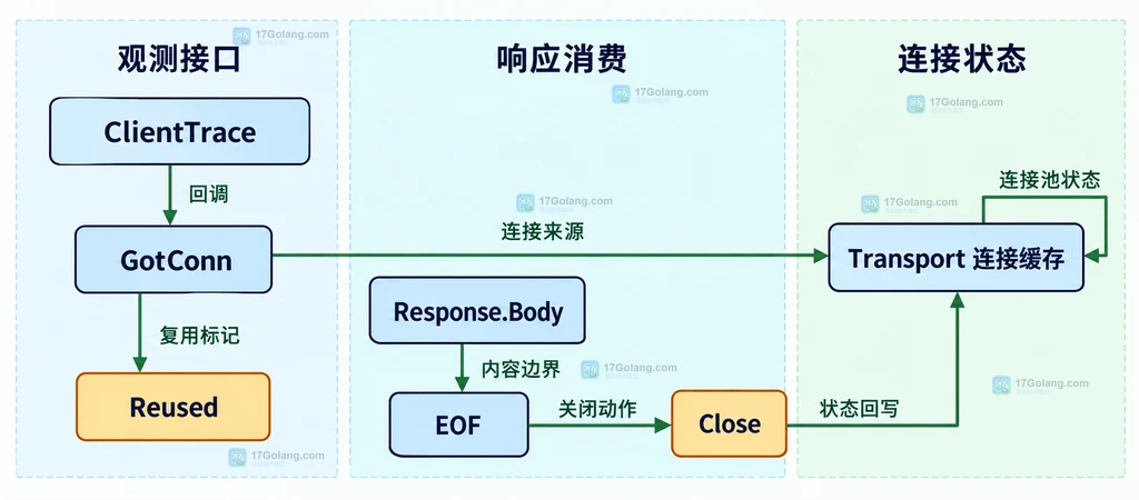 Go httptrace GotConn Reused 与 Response Body 消费关闭之间的静态关系图