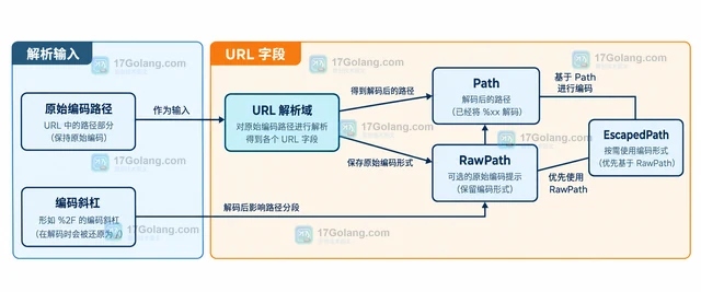 Go http.Request.URL.Path 为什么和 RawPath 不一样
