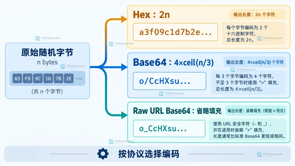 随机字节经过十六进制和 Base64 编码后的长度对比静态关系图