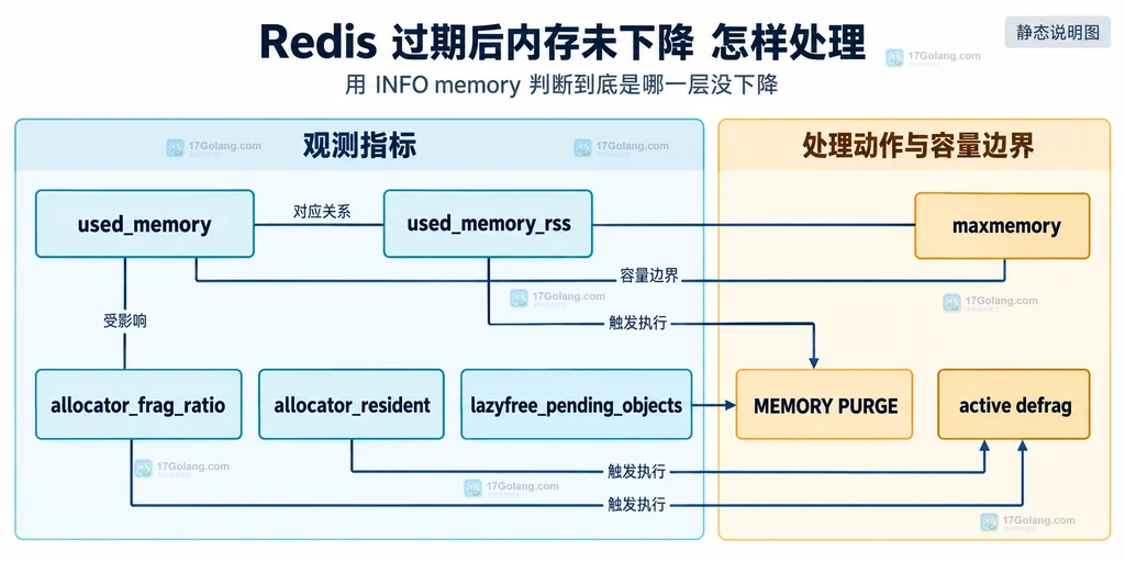 Redis 内存指标与 active defrag、MEMORY PURGE、maxmemory 处理动作的静态关系说明图