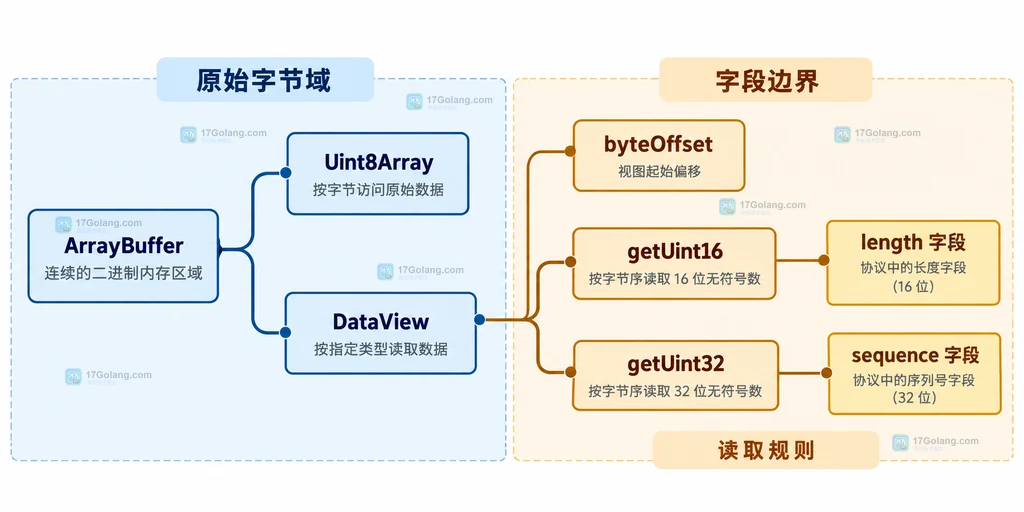 DataView 从 ArrayBuffer 按字段偏移和字节宽度读取数据的静态结构说明图