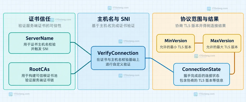 ServerName、RootCAs、版本范围与握手结果的配置边界结构图