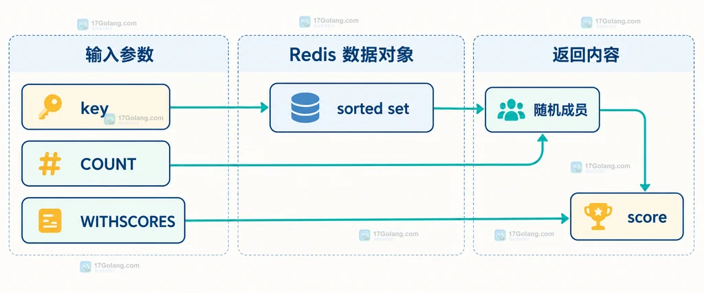 Redis ZRANDMEMBER 的 key、COUNT、WITHSCORES 与 sorted set 返回关系说明图
