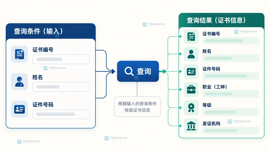 职业资格证书查询说明界面中的证书编号、姓名、证件号码和结果核对区域
