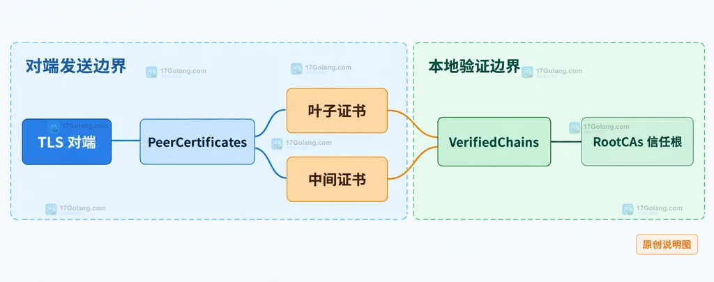 Go TLS 中 PeerCertificates 与 VerifiedChains 的静态关系说明图