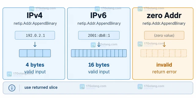 Go netip.Addr.AppendBinary 将 IP 追加为二进制地址的处理方法
