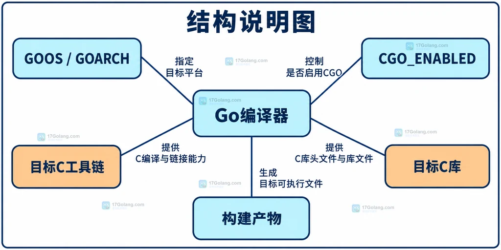 Go目标参数与C工具链依赖结构说明图