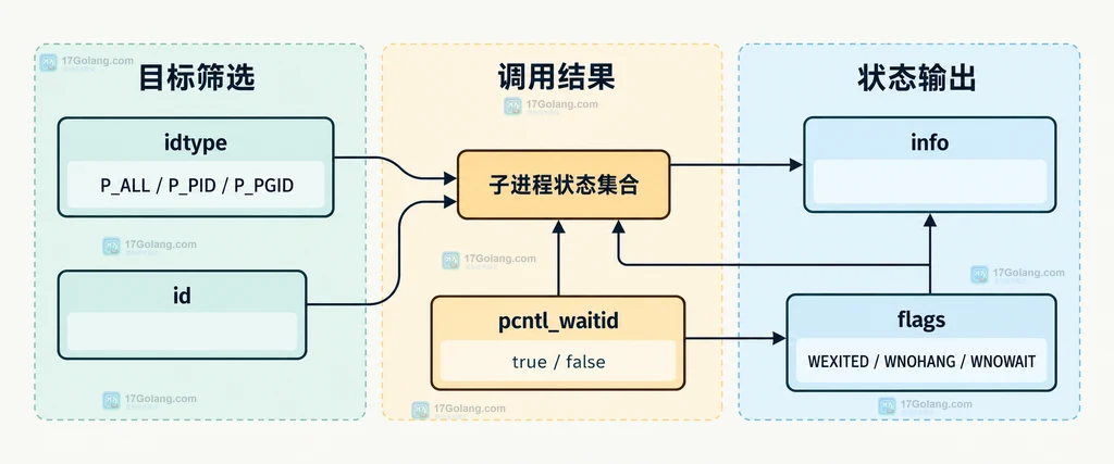 pcntl_waitid 的目标筛选、状态输出和调用结果之间的静态关系说明图