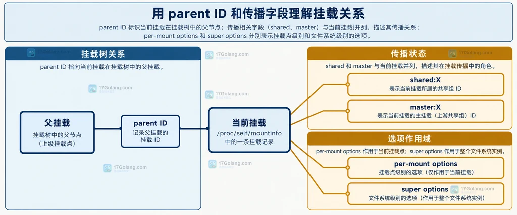 Linux mountinfo 挂载层级和传播字段关系图,展示 parent ID、挂载点、shared master 与 options 的静态关系