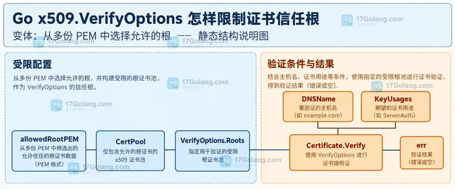 Go x509.VerifyOptions 怎样限制证书信任根