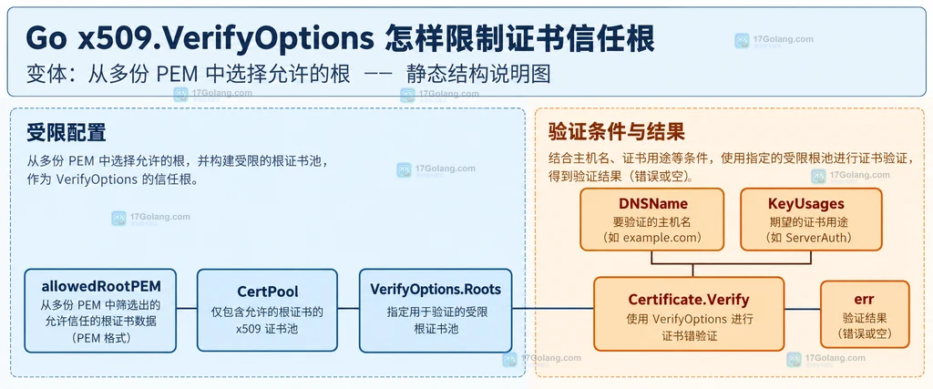 Go x509 VerifyOptions 中 Roots、Intermediates、叶子证书和 DNSName 的静态关系说明图