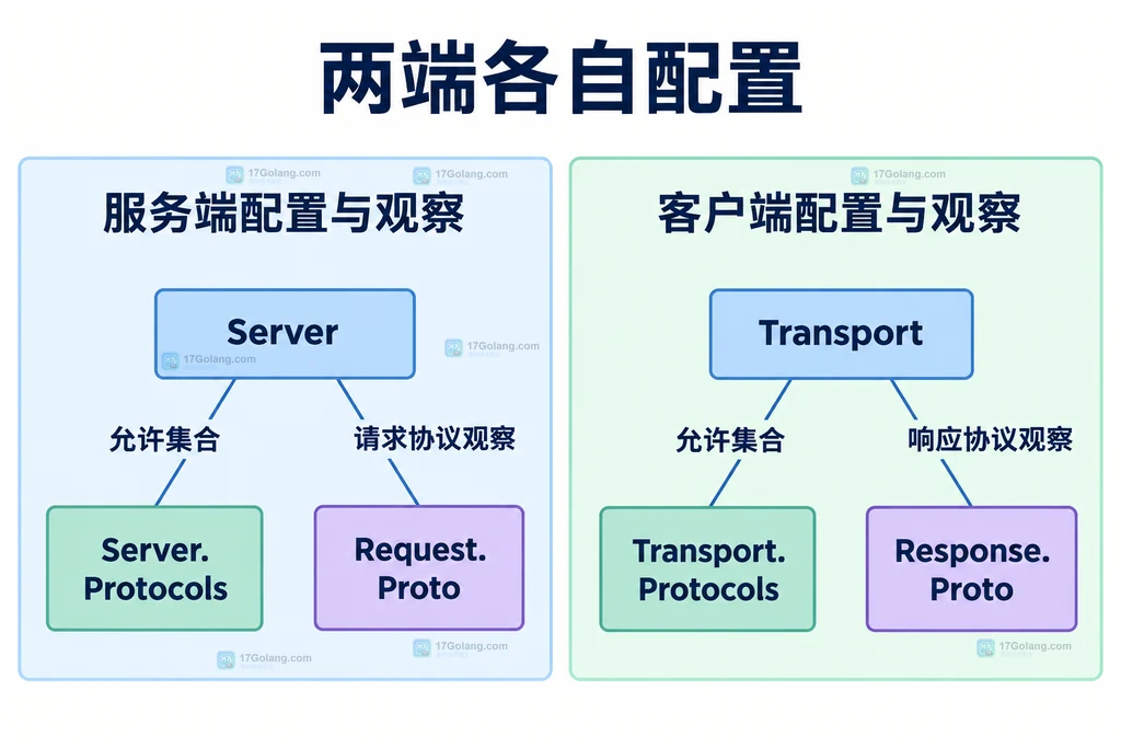 Server 与 Transport 各自拥有协议集合
