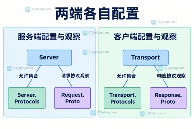 Go http.Protocols 怎样分别开启 HTTP/1 和 HTTP/2