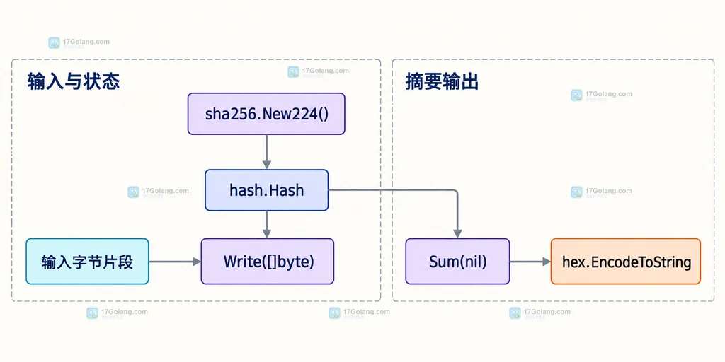 输入字节片段、sha256.New224、hash.Hash、Write、Sum 与十六进制输出的静态关系说明图
